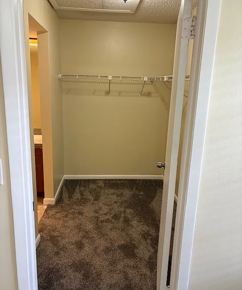 Large walkin closet.