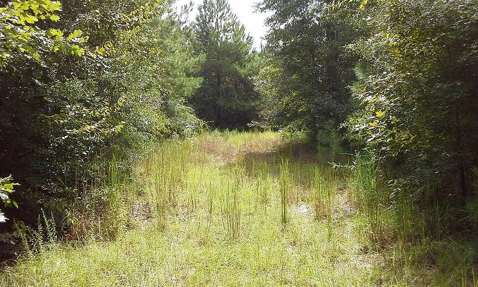 1st image of 1841 County Road 4530
