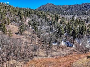 513 Last Dollar Dr, Cripple Creek, CO 80813