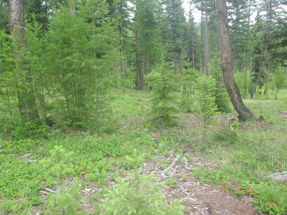 2nd image of Bear Trap Rd