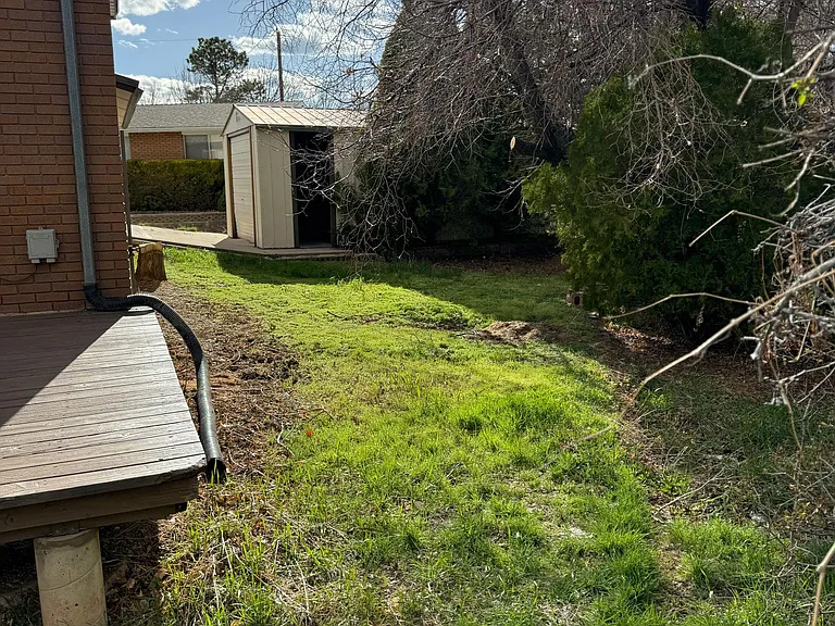 Backyard