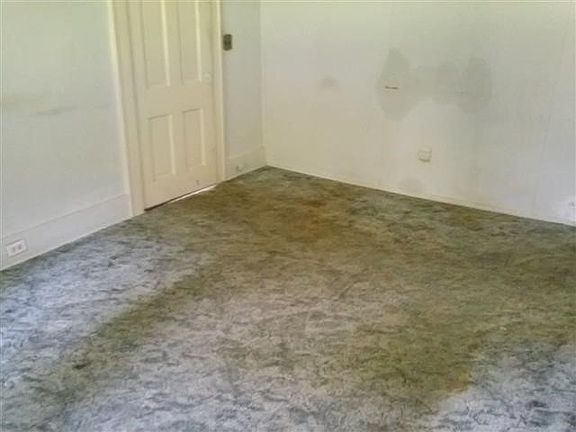 5th image of 446 Magnolia Ave