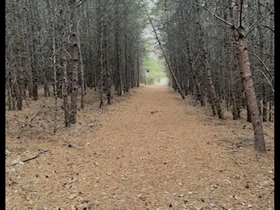 3rd image of 189 Farmers Hill Rd