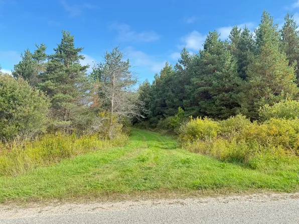 Tbd E Gogomain Rd, Pickford, MI 49774