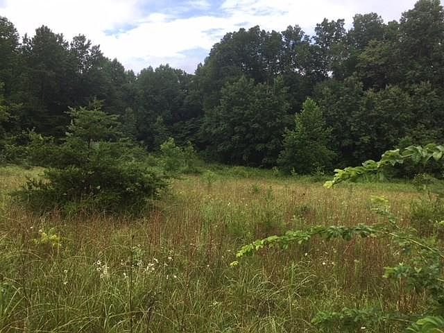 2nd image of Sassafras Grv Lot 1