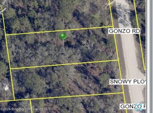 LOT 22 Gonzo Rd, Brooksville, FL 34614