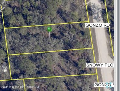 LOT 22 Gonzo Rd, Brooksville, FL, 34614
