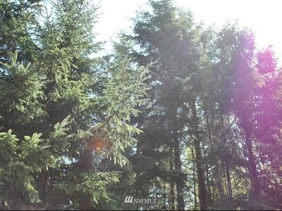 564 Sunset Avenue NE, Ocean Shores, WA, 98569