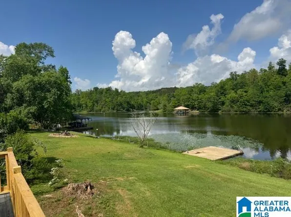 208 Lakeshore Ln, Oneonta, AL 35121