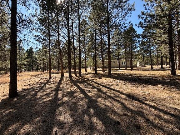 2nd image of 8 Pine Top Ln