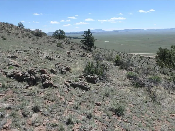 185 Campfire Road, Hartsel, CO 80449