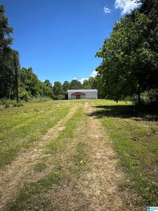 250 Schall Dr, Ragland, AL, 35131