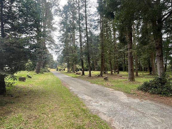 3rd image of 21751 John Hyman Road