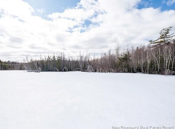 5th image of 59 Emmanuel Rd