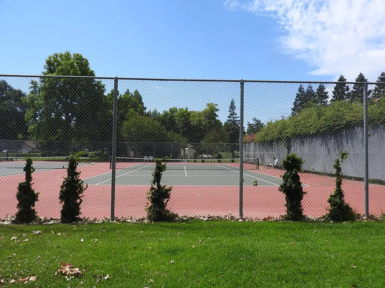 3008 Swallows Nest Dr — Photo 19