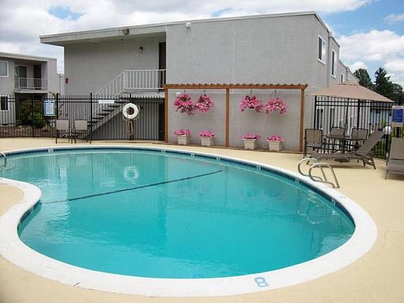 Summer Pool
