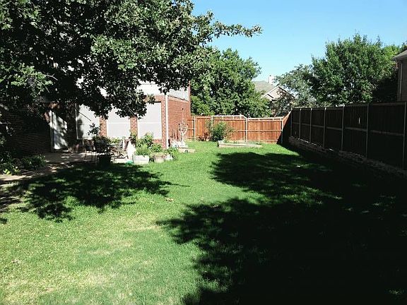 Oasis back yard