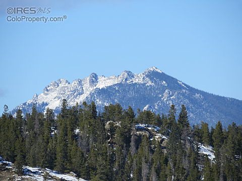 2nd image of 101 Pine Cone Dr