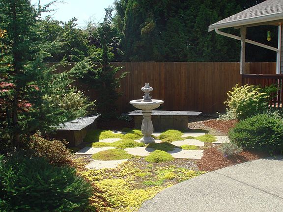 Manicured yard