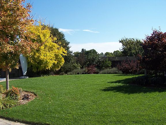 Backyard area