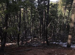 157 Gitchigoomee Trl, Woodland Park, CO 80863