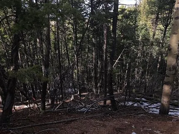 157 Gitchigoomee Trl, Woodland Park, CO 80863