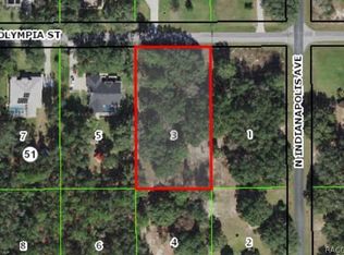 484 W Olympia St, Hernando, FL 34442