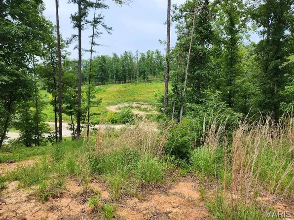 300 William Ave, Van Buren, MO 63965