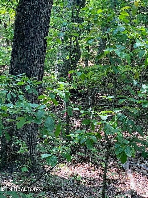 1st image of 0 Goose Creek Rd