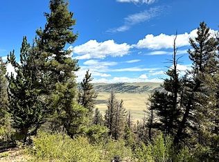 2022 Middle Fork, Fairplay, CO 80440