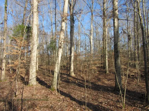 1156 Wilkinstown Rd, Parsons, TN 38363