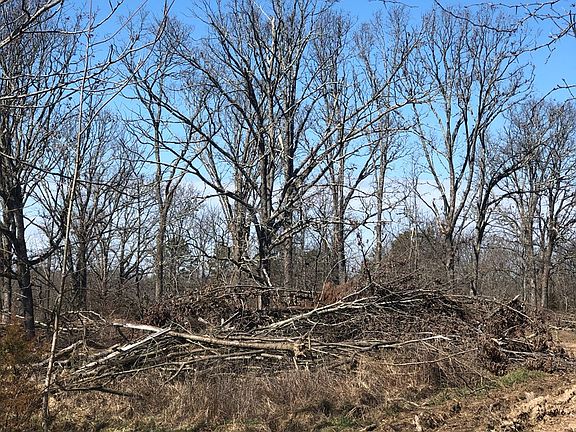 4th image of 514 County Road 2103