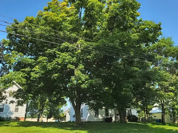 106 Prospect St, Wellington, OH 44090