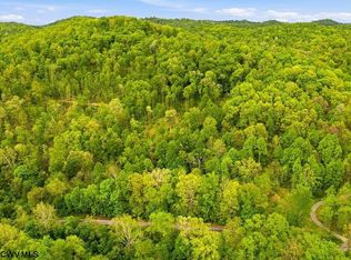 Rock Camp Rd, Wallace, WV 26448