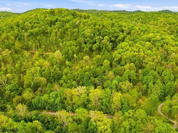 Rock Camp Rd, Wallace, WV 26448