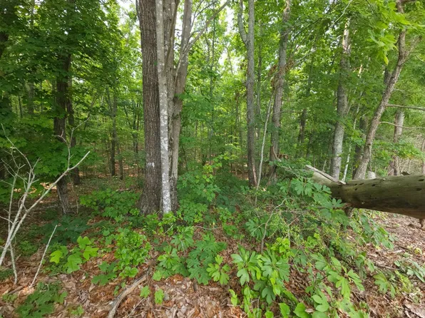 0 Riverville Rd Lot 2, Gladstone, VA 24553