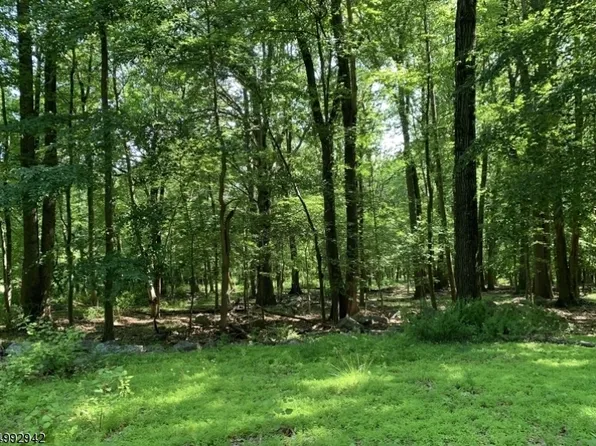 303 -4 Hardscrabble Rd, Bernardsville Boro, NJ 07924