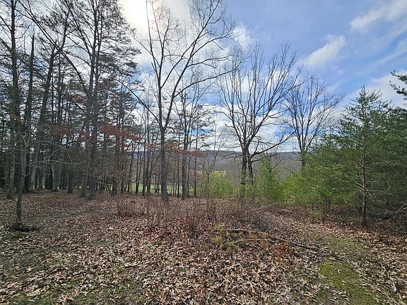 3rd image of 673 Rock Ave