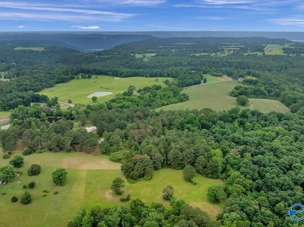 County Road 44, Section, AL 35771