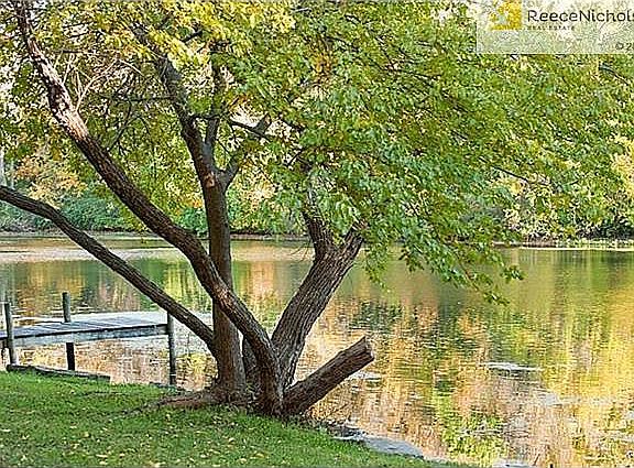 FISHING DOCK