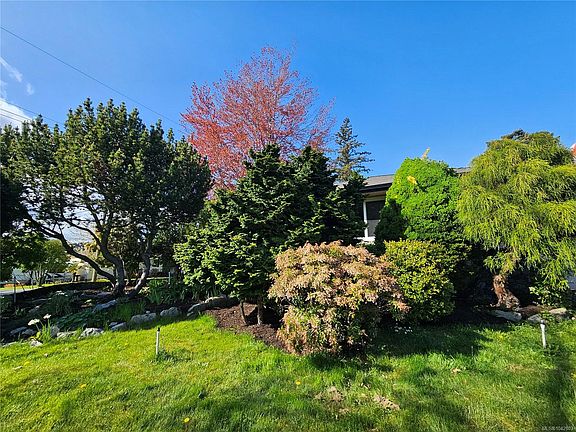 4th image of 1288 Roy Rd