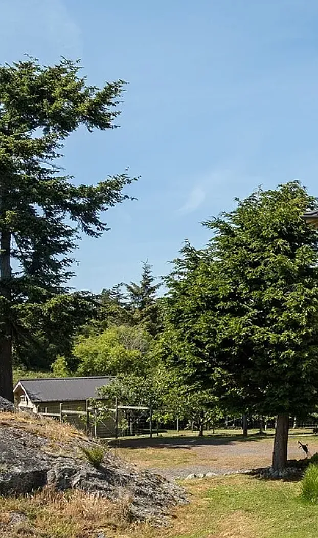 Hodgson Rd, Lopez Island — Photo 4