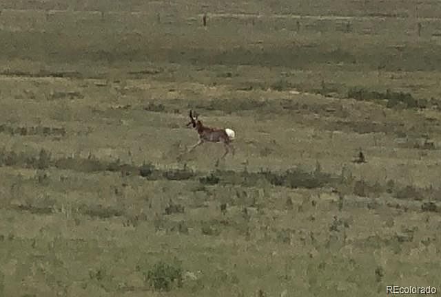 1st image of TBD County Road 2