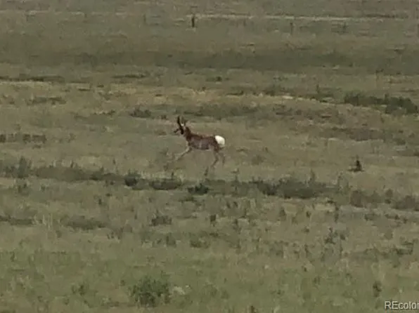 TBD County Road 2, Atwood, CO 80722