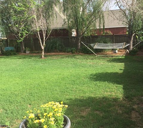 3rd image of 505 Eagle Springs Dr