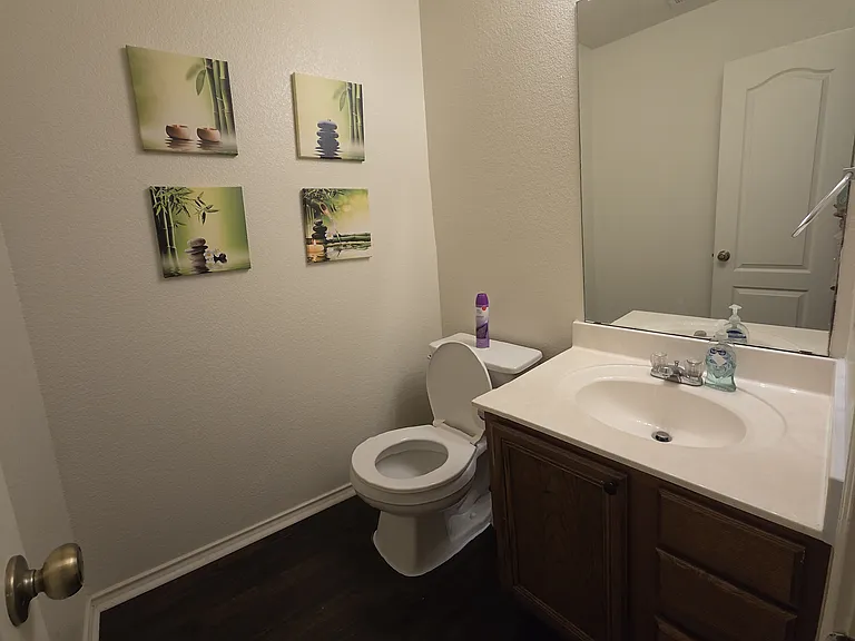 Guest Bathroom, Main Floor