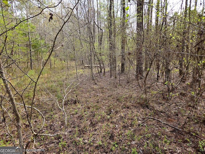 1st image of 0 Us Hwy Tract 1D