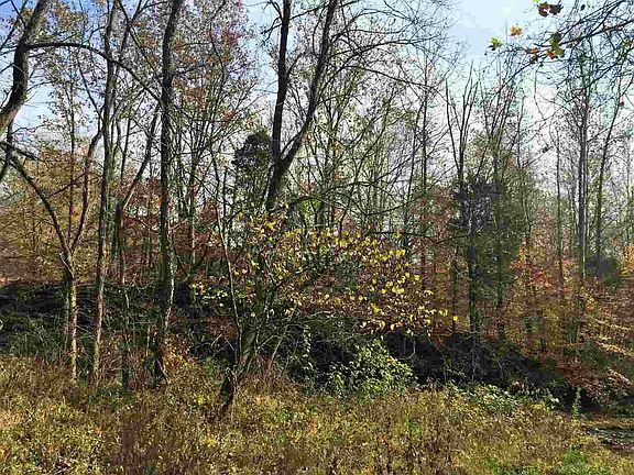 4th image of 727 N County Road 975 W