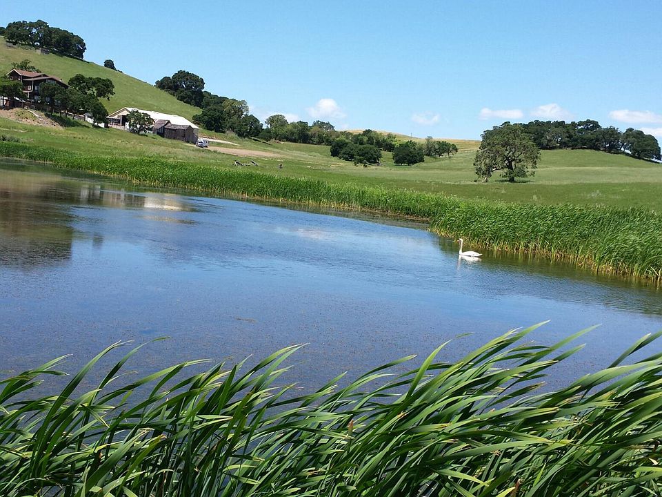 Welcome to Reis River Ranch