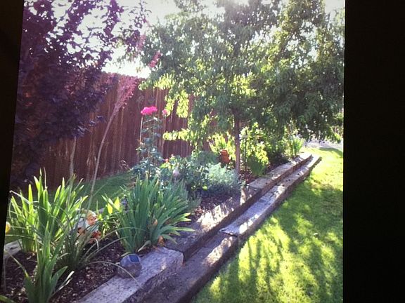 2nd image of 9565 Evans Lane